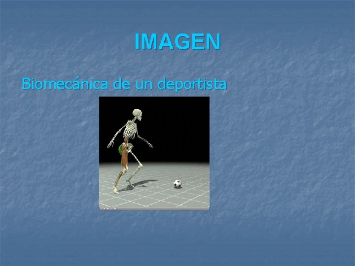 IMAGEN Biomecánica de un deportista 