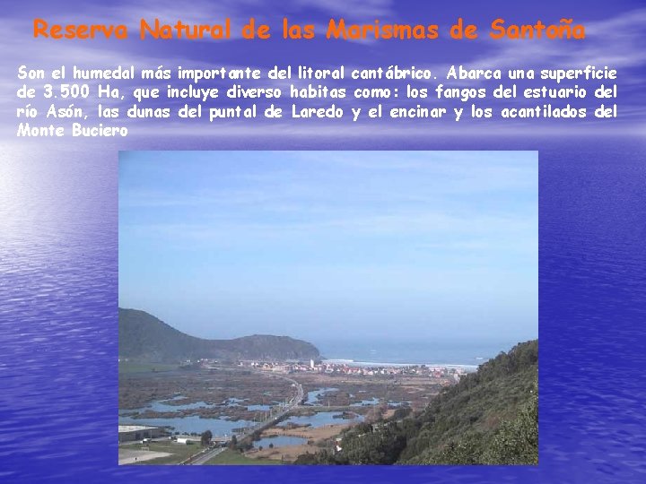 Reserva Natural de las Marismas de Santoña Son el humedal más importante del litoral