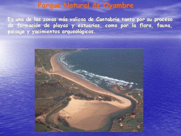 Parque Natural de Oyambre Es una de las zonas más valiosa de Cantabria tanto