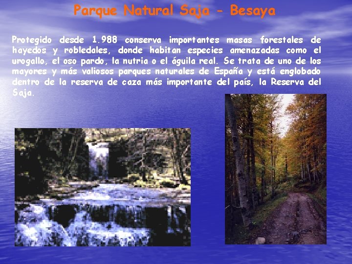 Parque Natural Saja - Besaya Protegido desde 1. 988 conserva importantes masas forestales de