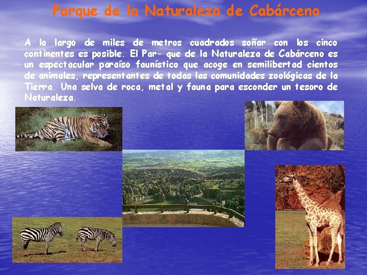 Parque de la Naturaleza de Cabárceno A lo largo de miles de metros cuadrados