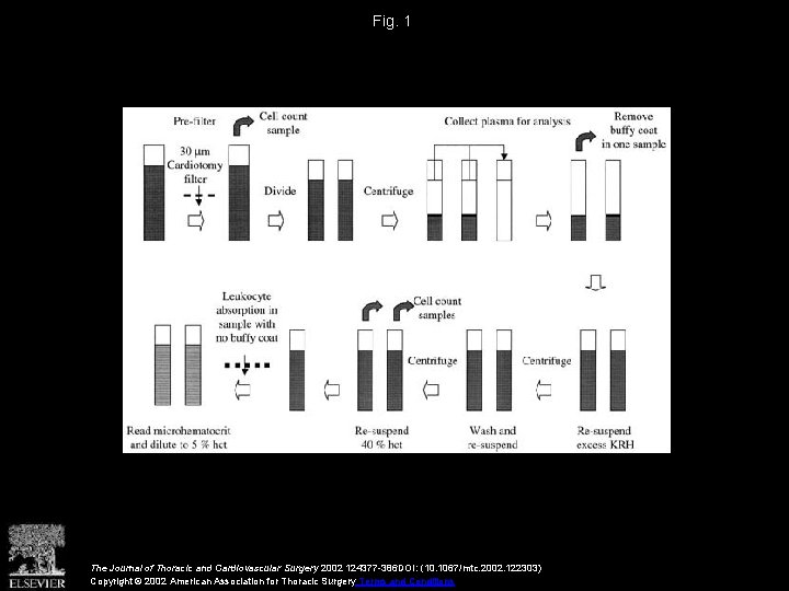 Fig. 1 The Journal of Thoracic and Cardiovascular Surgery 2002 124377 -386 DOI: (10.