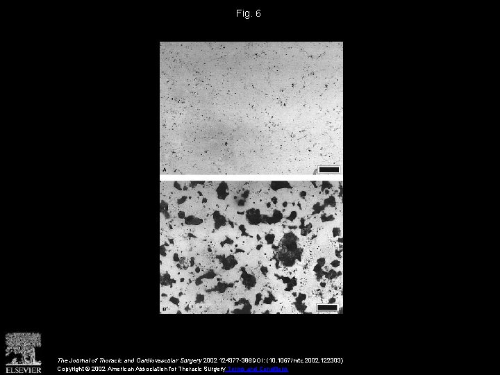 Fig. 6 The Journal of Thoracic and Cardiovascular Surgery 2002 124377 -386 DOI: (10.