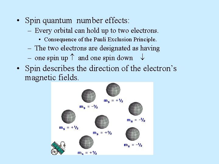  • Spin quantum number effects: – Every orbital can hold up to two