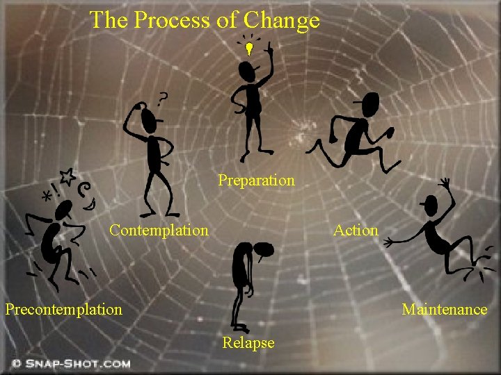 The Process of Change Preparation Contemplation Action Precontemplation Maintenance Relapse 