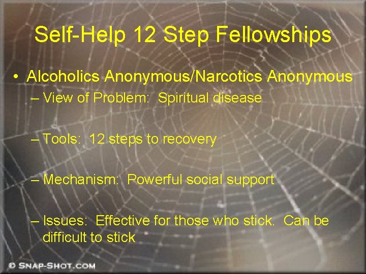 Self-Help 12 Step Fellowships • Alcoholics Anonymous/Narcotics Anonymous – View of Problem: Spiritual disease