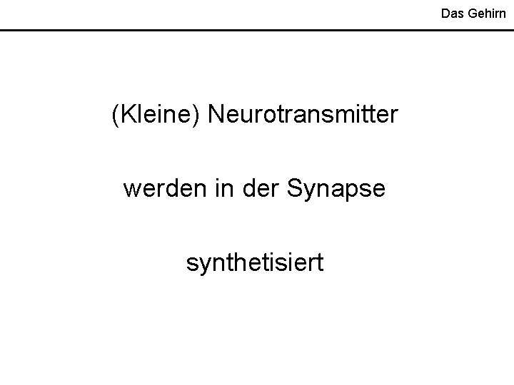 Das Gehirn (Kleine) Neurotransmitter werden in der Synapse synthetisiert 