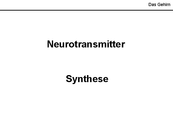 Das Gehirn Neurotransmitter Synthese 