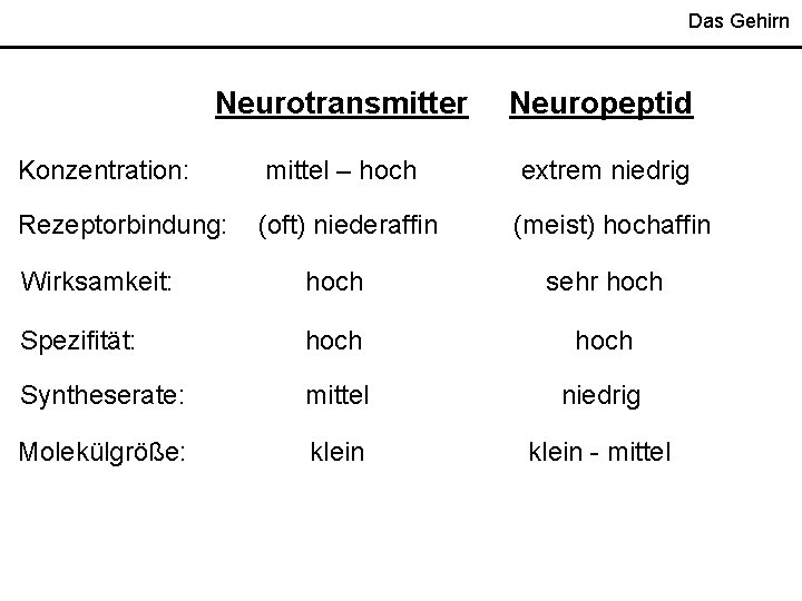 Das Gehirn Neurotransmitter Neuropeptid Konzentration: mittel – hoch extrem niedrig Rezeptorbindung: (oft) niederaffin (meist)