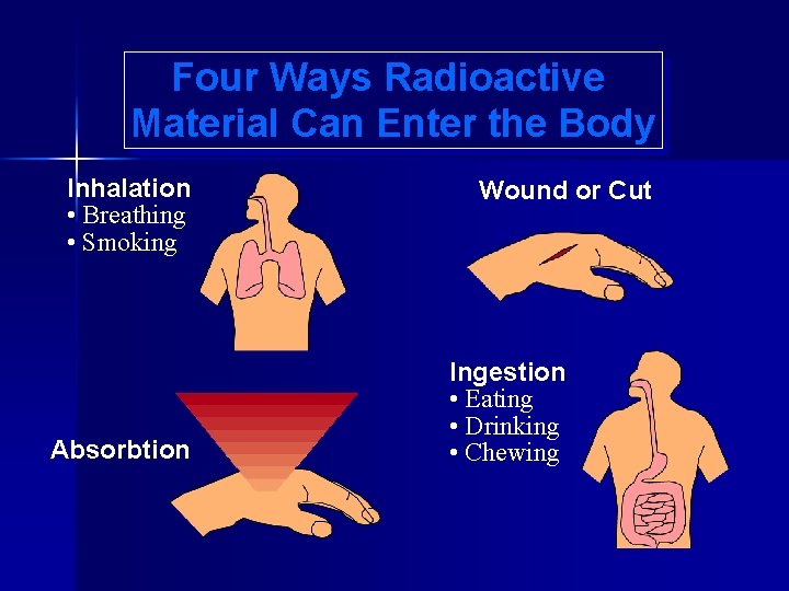 Four Ways Radioactive Material Can Enter the Body Inhalation • Breathing • Smoking Absorbtion