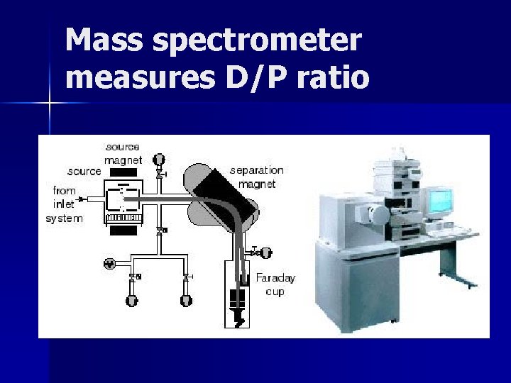 Mass spectrometer measures D/P ratio 