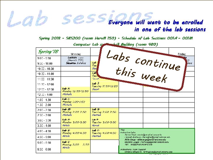 Everyone will want to be enrolled in one of the lab sessions Labs c