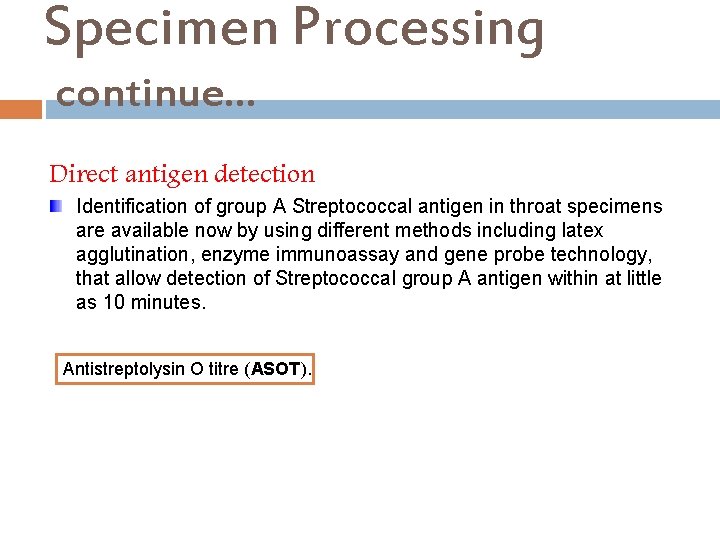 Specimen Processing continue… Direct antigen detection Identification of group A Streptococcal antigen in throat