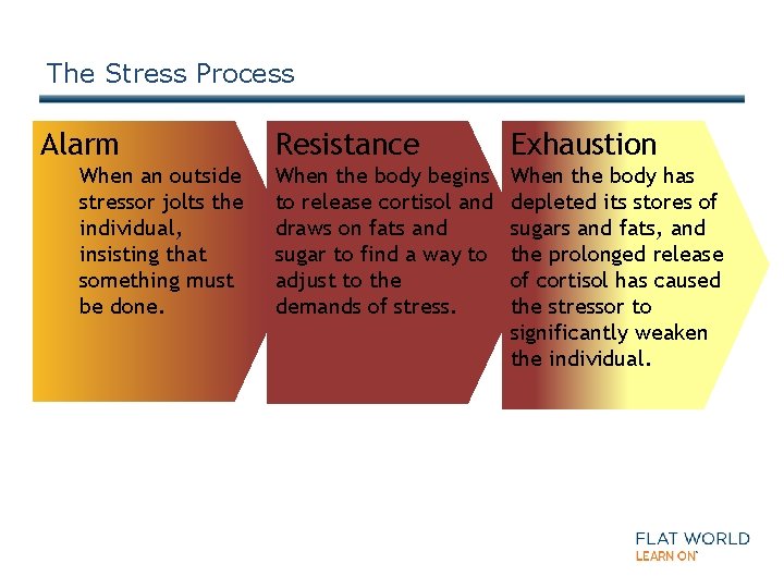 The Stress Process Alarm When an outside stressor jolts the individual, insisting that something