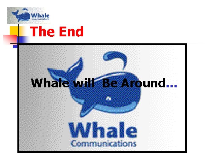 The End Whale will Be Around… 