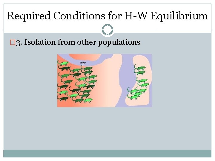 Required Conditions for H-W Equilibrium � 3. Isolation from other populations 