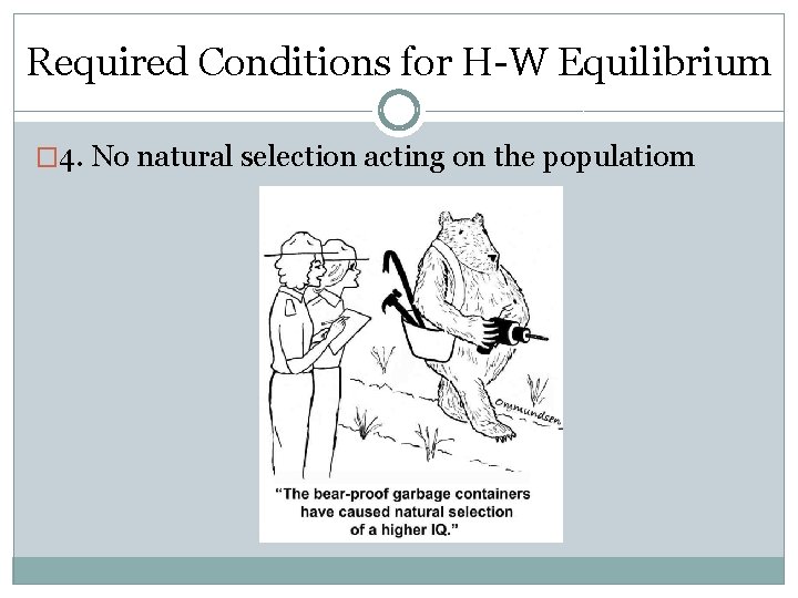 Required Conditions for H-W Equilibrium � 4. No natural selection acting on the populatiom