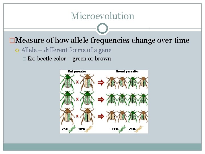 Microevolution �Measure of how allele frequencies change over time Allele – different forms of