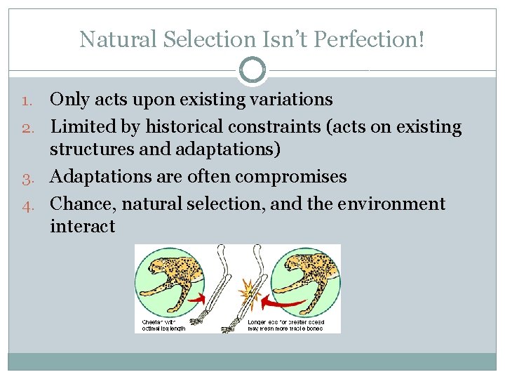 Natural Selection Isn’t Perfection! Only acts upon existing variations 2. Limited by historical constraints