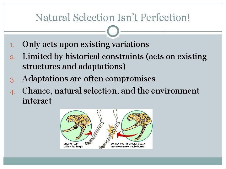 Natural Selection Isn’t Perfection! Only acts upon existing variations 2. Limited by historical constraints