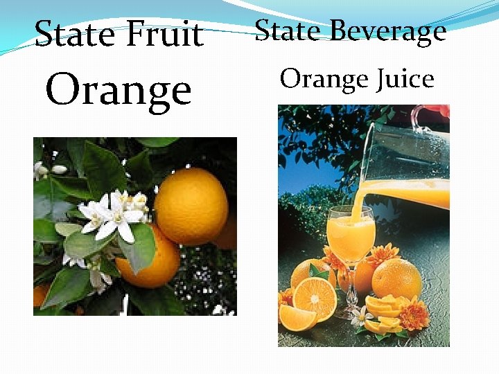 State Fruit State Beverage Orange Juice 