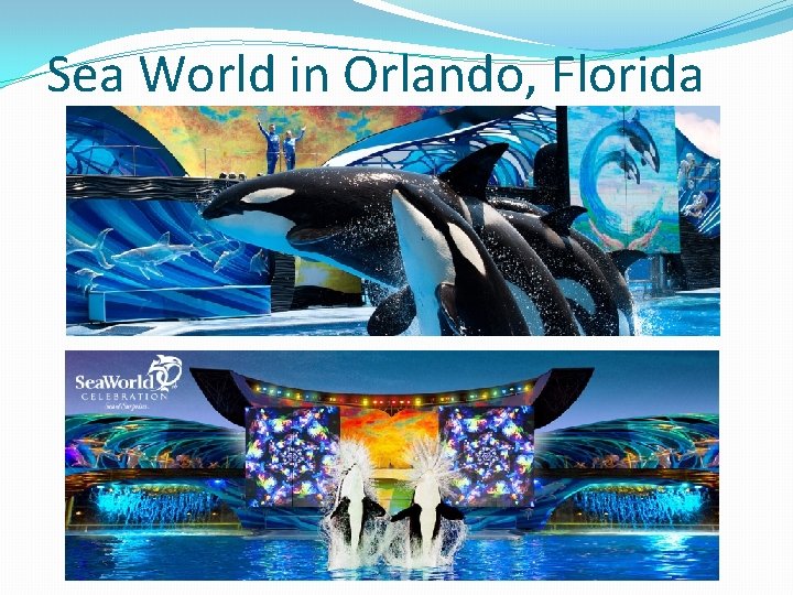 Sea World in Orlando, Florida 