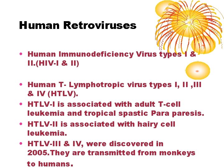 Human Retroviruses • Human Immunodeficiency Virus types I & II. (HIV-I & II) •