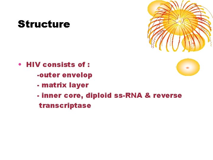Structure • HIV consists of : -outer envelop - matrix layer - inner core,