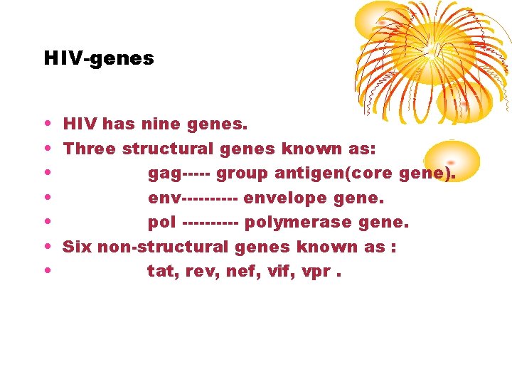 HIV-genes • HIV has nine genes. • Three structural genes known as: • gag-----