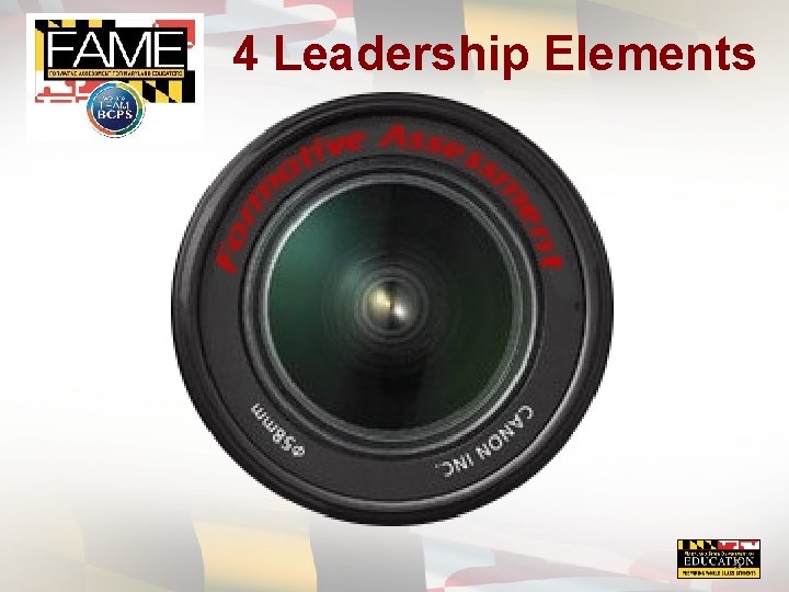 4 Leadership Elements Guiding Change Monitoring Progress and Providing Feedback Leading Professional Learning Messaging