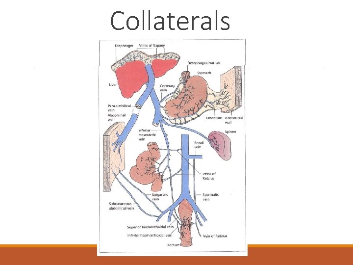 Collaterals 