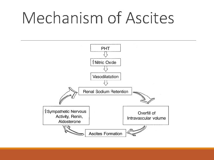 Mechanism of Ascites 