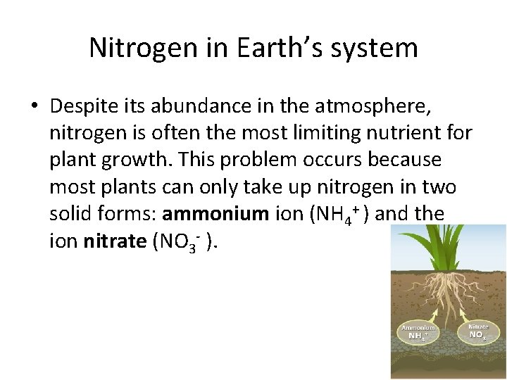 Nitrogen in Earth’s system • Despite its abundance in the atmosphere, nitrogen is often