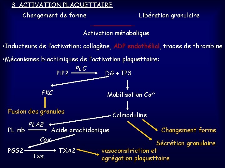 3. ACTIVATION PLAQUETTAIRE Changement de forme Libération granulaire Activation métabolique • Inducteurs de l’activation: