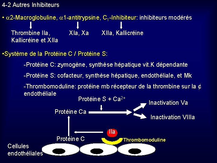 4 -2 Autres Inhibiteurs • 2 -Macroglobuline, 1 -antitrypsine, C 1 -Inhibiteur: inhibiteurs modérés