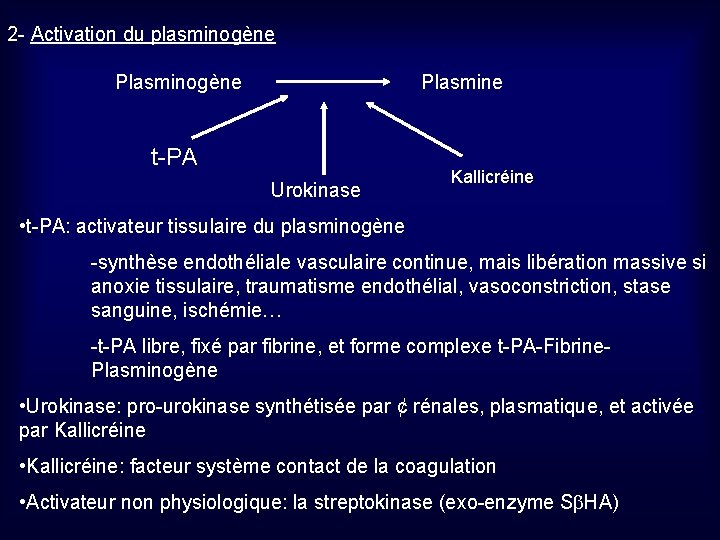 2 - Activation du plasminogène Plasmine t-PA Urokinase Kallicréine • t-PA: activateur tissulaire du