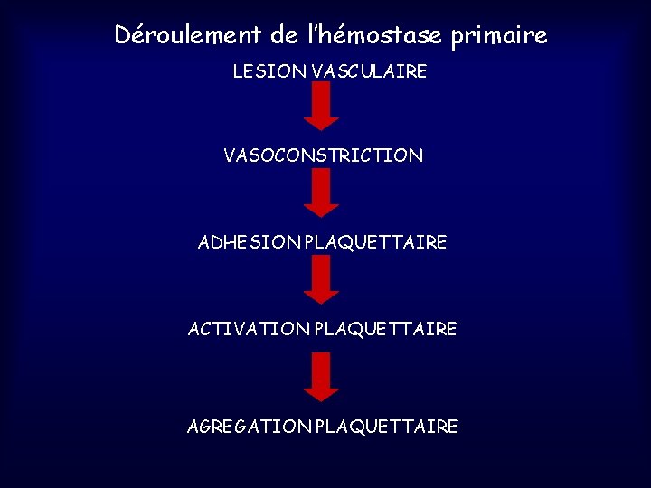 Déroulement de l’hémostase primaire LESION VASCULAIRE VASOCONSTRICTION ADHESION PLAQUETTAIRE ACTIVATION PLAQUETTAIRE AGREGATION PLAQUETTAIRE 