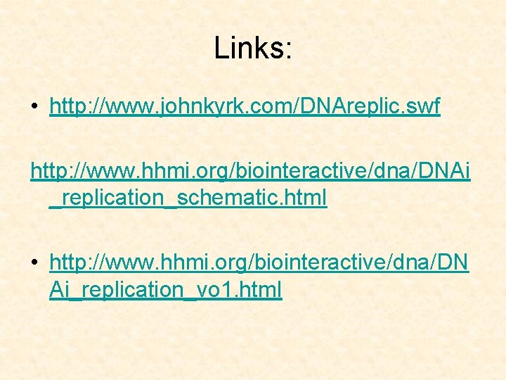 Links: • http: //www. johnkyrk. com/DNAreplic. swf http: //www. hhmi. org/biointeractive/dna/DNAi _replication_schematic. html •