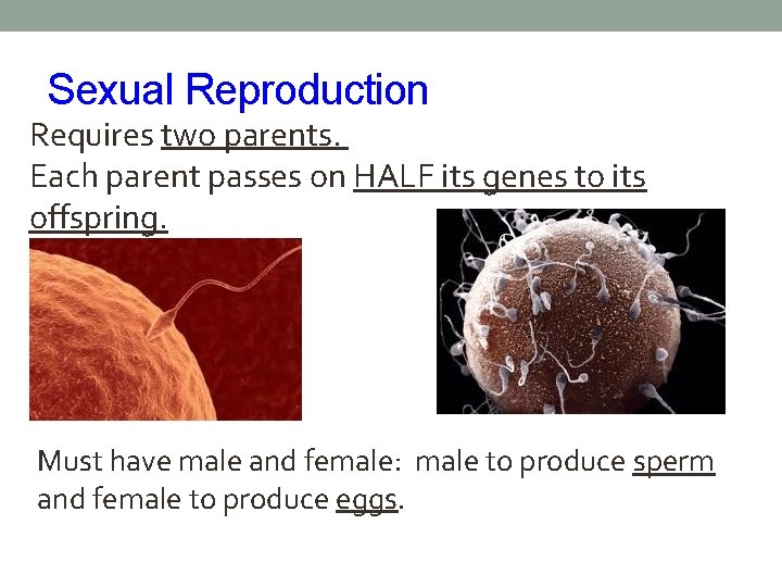 Sexual Reproduction Requires two parents. Each parent passes on HALF its genes to its