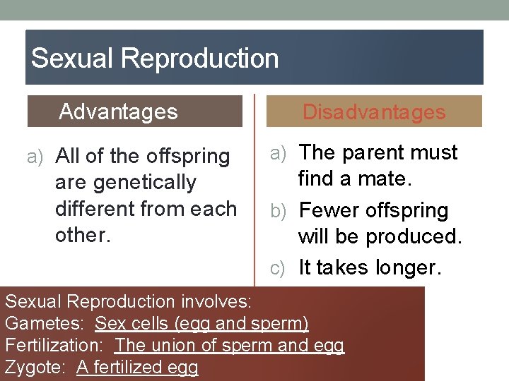 Sexual Reproduction Advantages a) All of the offspring are genetically different from each other.
