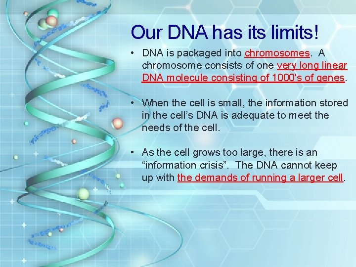 Our DNA has its limits! • DNA is packaged into chromosomes. A chromosome consists