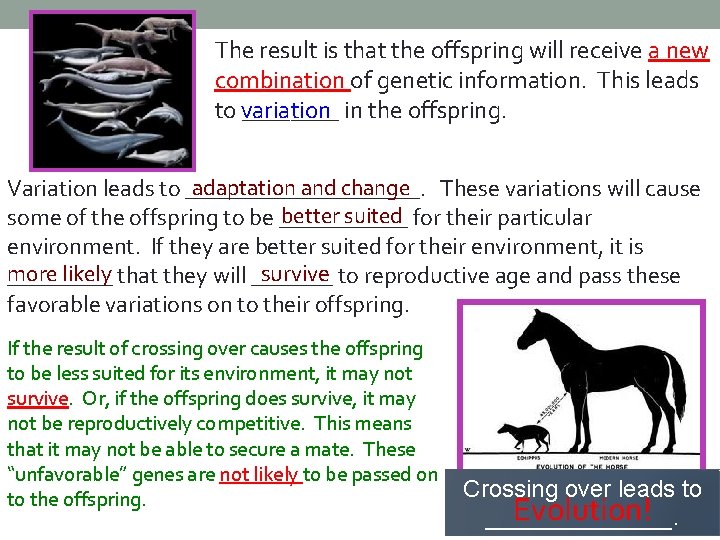 The result is that the offspring will receive a new combination of genetic information.