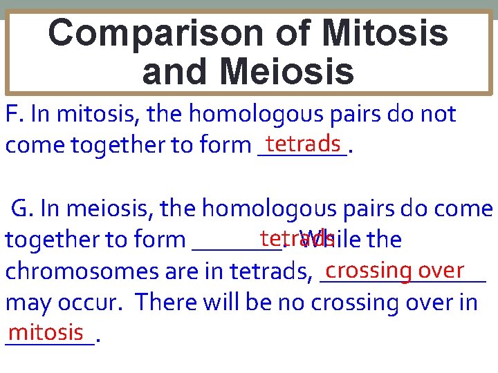 Comparison of Mitosis and Meiosis F. In mitosis, the homologous pairs do not tetrads