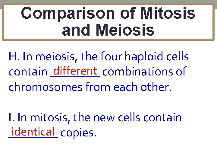 Comparison of Mitosis and Meiosis H. In meiosis, the four haploid cells different combinations