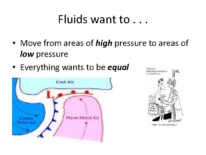 Fluids want to. . . • Move from areas of high pressure to areas