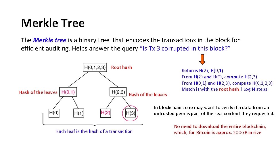 Merkle Tree The Merkle tree is a binary tree that encodes the transactions in