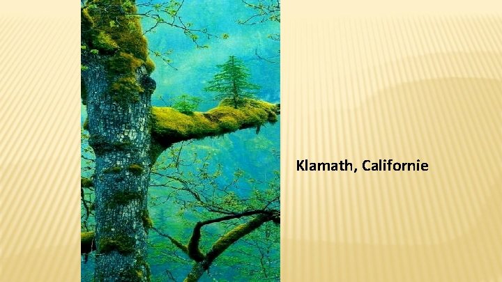 Klamath, Californie 