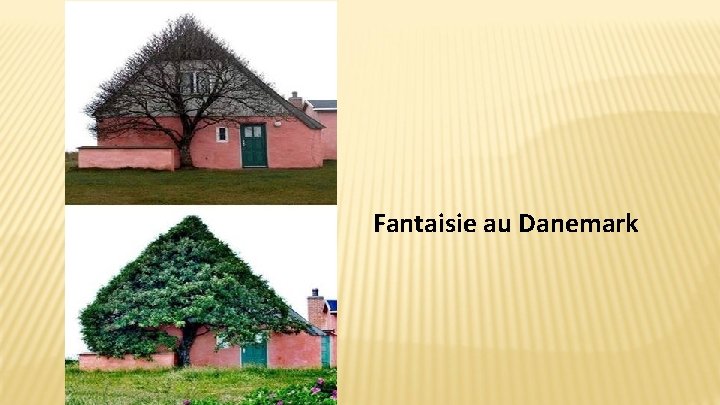 Fantaisie au Danemark 