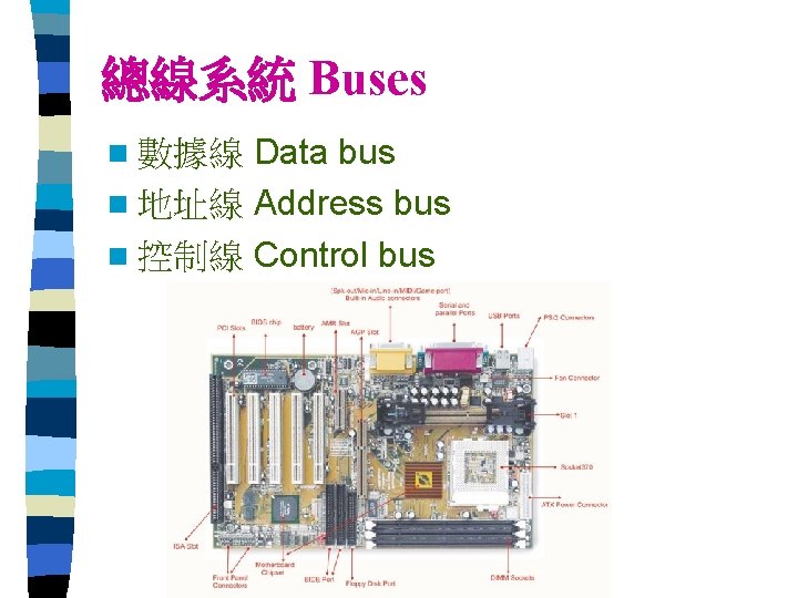 總線系統 Buses Data bus n 地址線 Address bus n 控制線 Control bus n 數據線