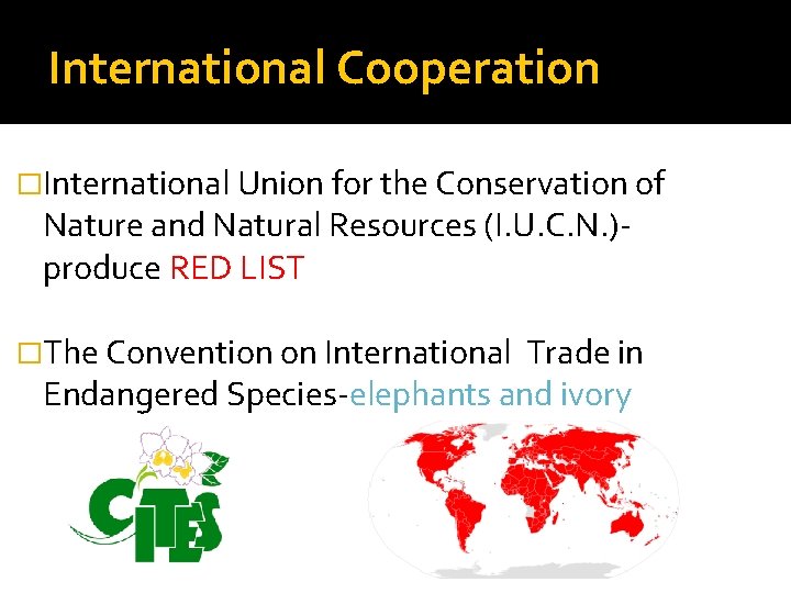 International Cooperation �International Union for the Conservation of Nature and Natural Resources (I. U.